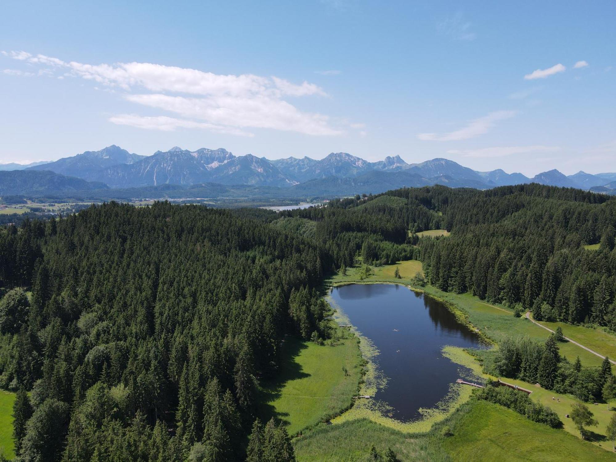 Chalet - Ferienwohnungen - Biohof Stoeger - Panoramasuedbalkon - Grandiose Aussicht Auf See, Berge Und Schloss Neuschwanstein Rieden Exterior photo
