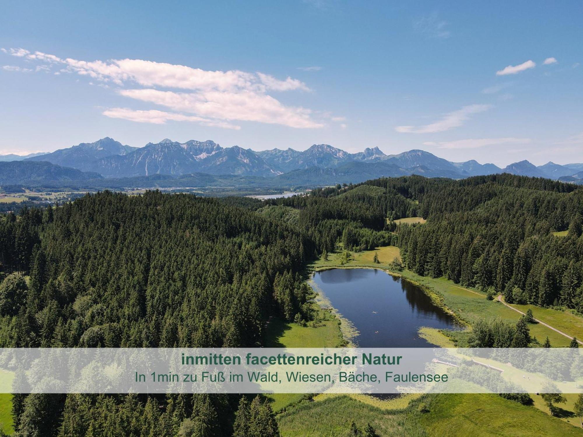 Chalet - Ferienwohnungen - Biohof Stoeger - Panoramasuedbalkon - Grandiose Aussicht Auf See, Berge Und Schloss Neuschwanstein Rieden Exterior photo