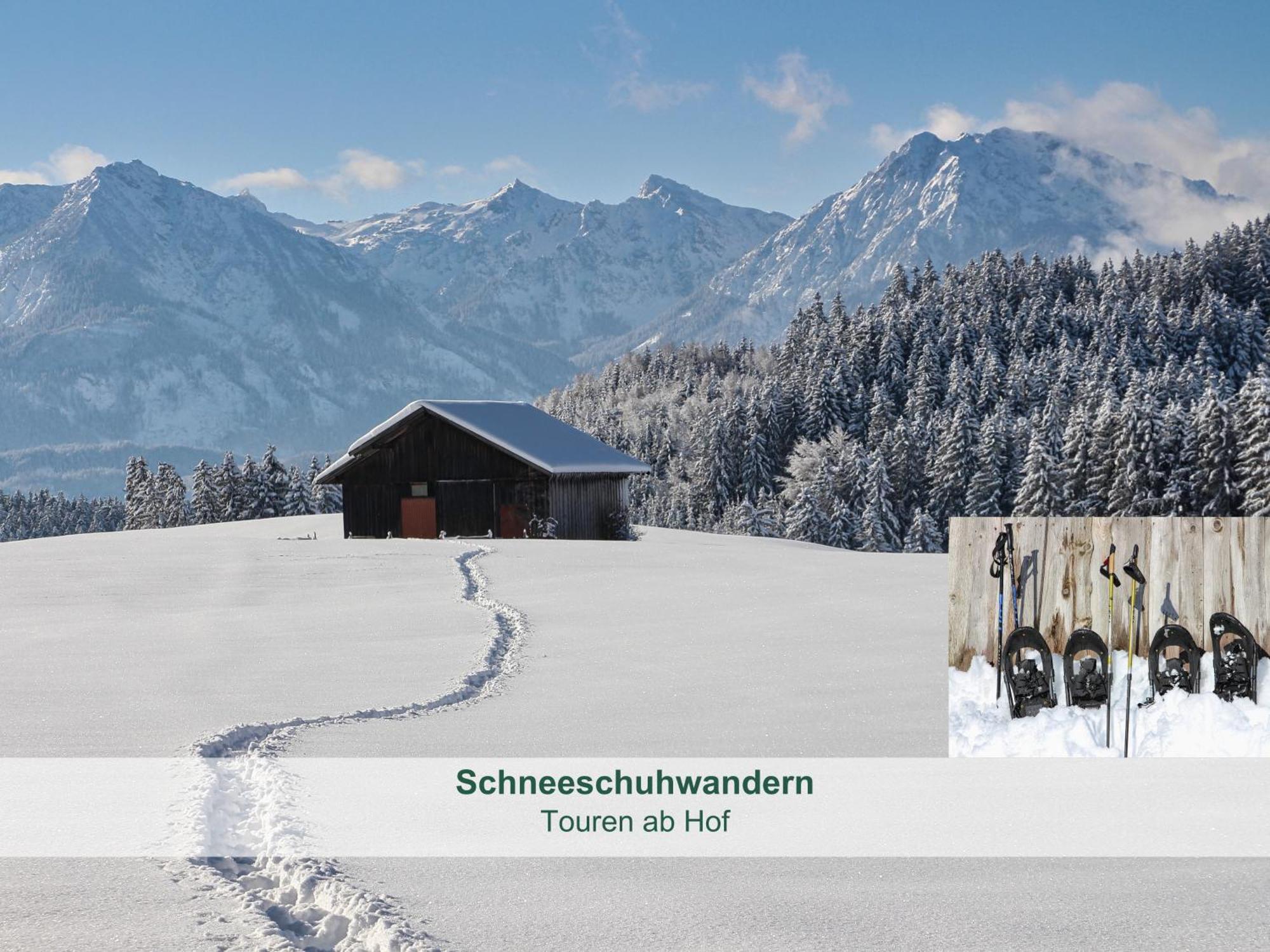Chalet - Ferienwohnungen - Biohof Stoeger - Panoramasuedbalkon - Grandiose Aussicht Auf See, Berge Und Schloss Neuschwanstein Rieden Exterior photo