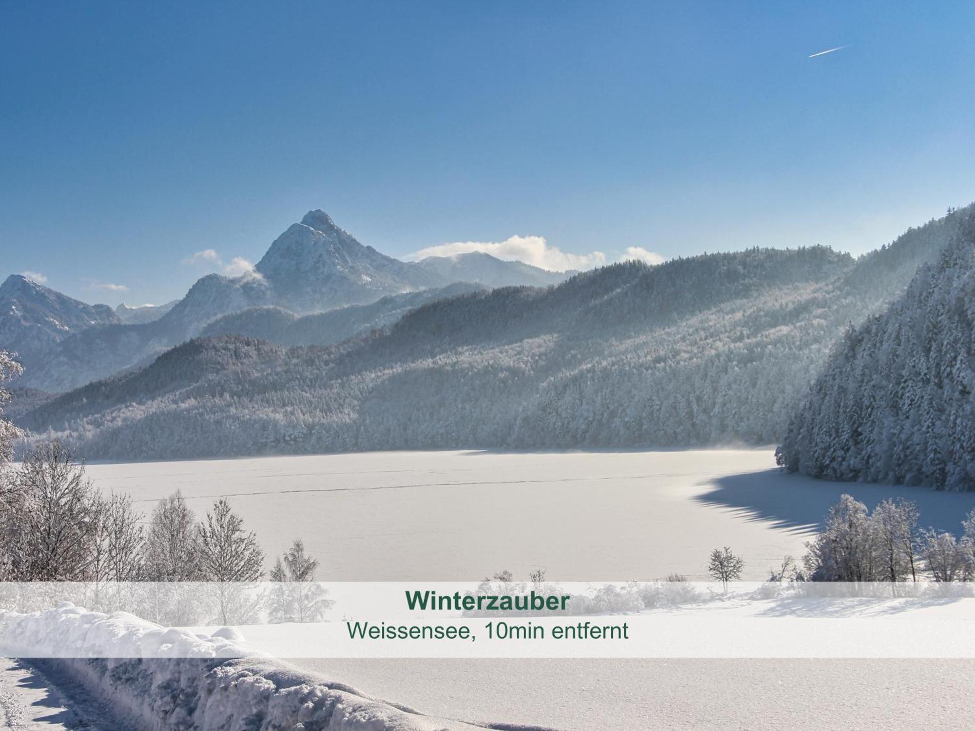 Chalet - Ferienwohnungen - Biohof Stoeger - Panoramasuedbalkon - Grandiose Aussicht Auf See, Berge Und Schloss Neuschwanstein Rieden Exterior photo