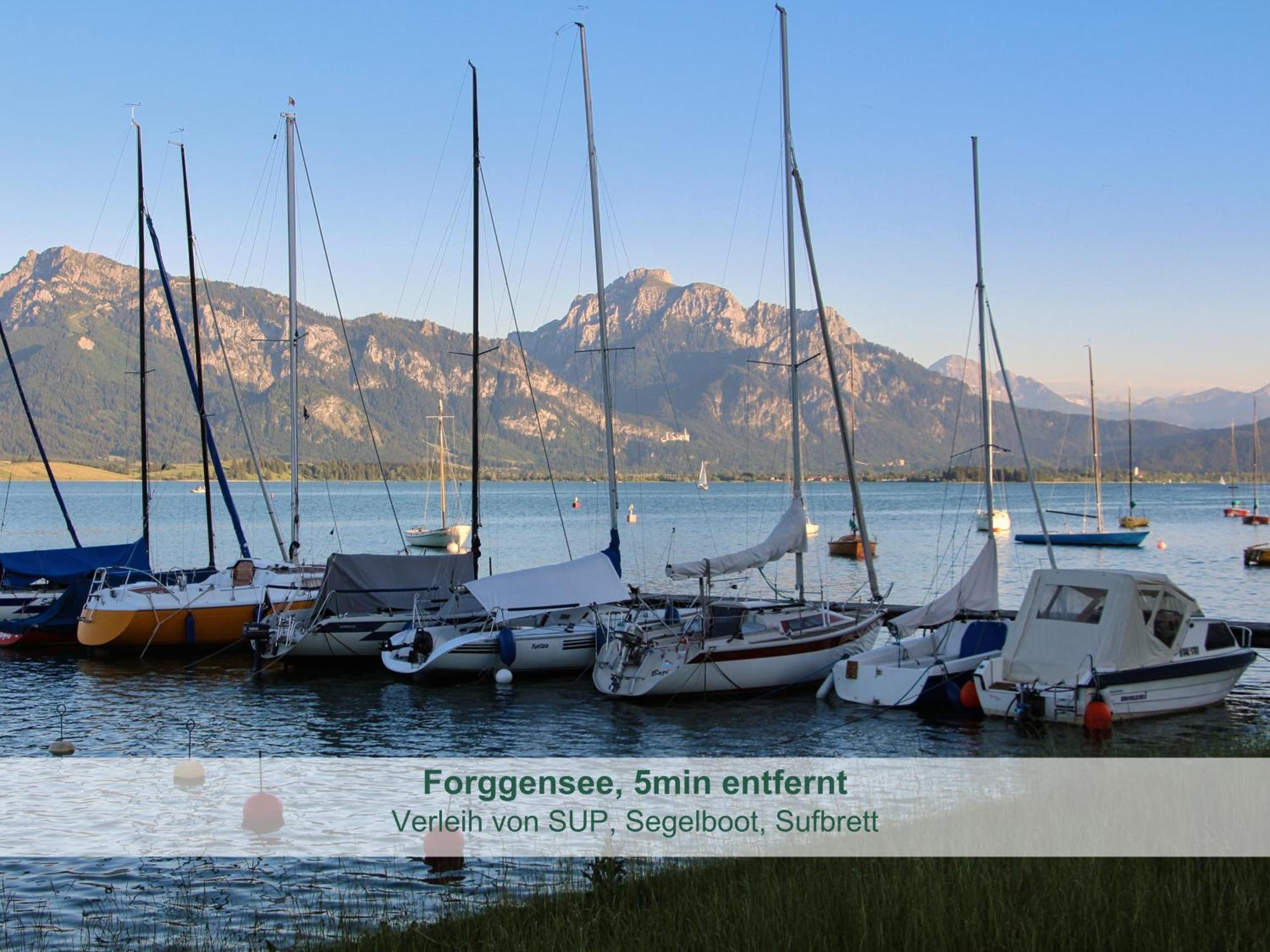 Chalet - Ferienwohnungen - Biohof Stoeger - Panoramasuedbalkon - Grandiose Aussicht Auf See, Berge Und Schloss Neuschwanstein Rieden Exterior photo